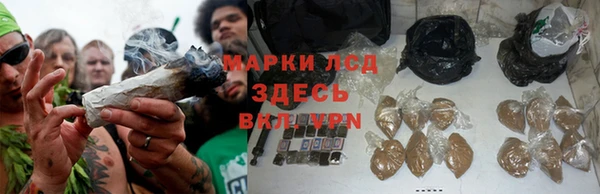прущий лед Алексин