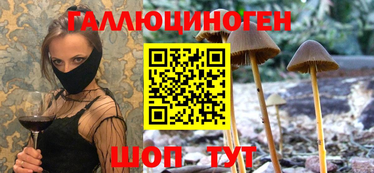 Галлюциногенные грибы Magic Shrooms Кызыл