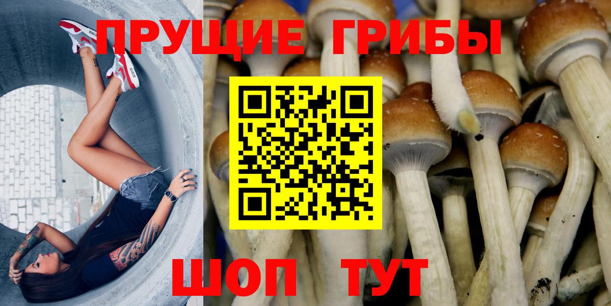 Кызыл  Псилоцибиновые грибы мухоморы  Вход с VPN 