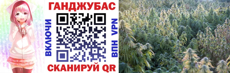 купить наркоту Кызыл darknet формула Бошки Шишки конопля